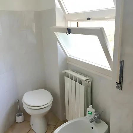 Xl Apartman