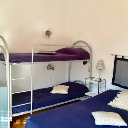 Apartment Xl
